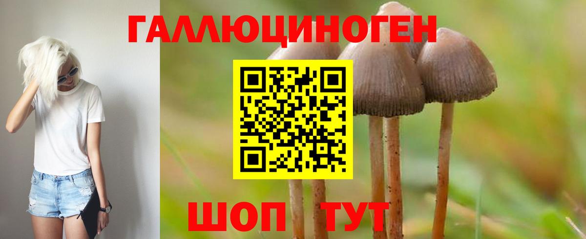 Аргун  Галлюциногенные грибы Cubensis  где найти наркотики  Псилоцибиновые грибы Cubensis  Вход с VPN 